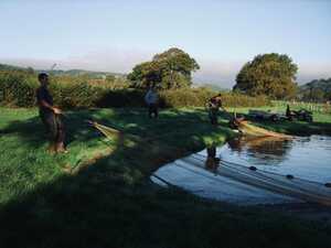 meadowland smokery nets